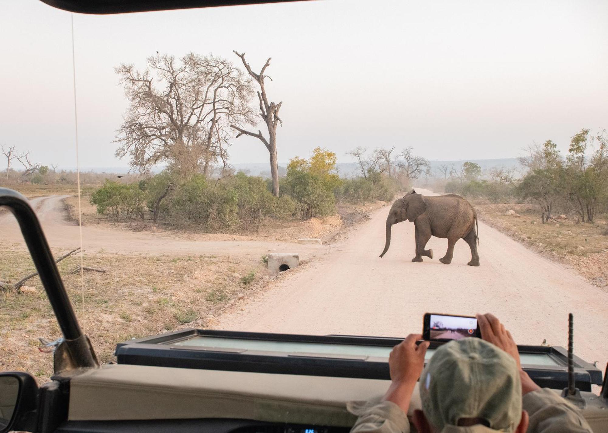 Mjejane Bush Camp By Dream Resorts Hectorspruit Buitenkant foto