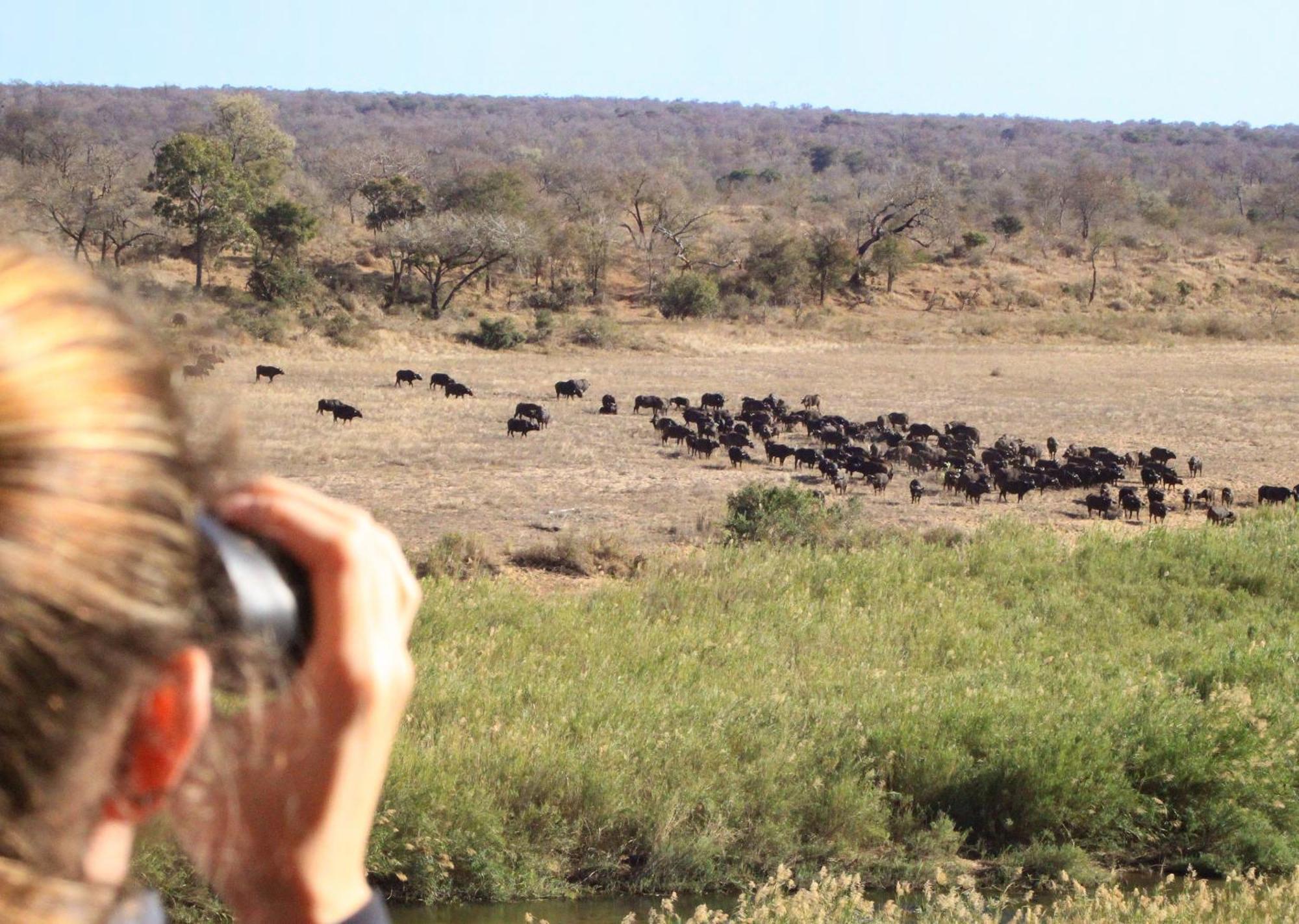 Mjejane Bush Camp By Dream Resorts Hectorspruit Buitenkant foto