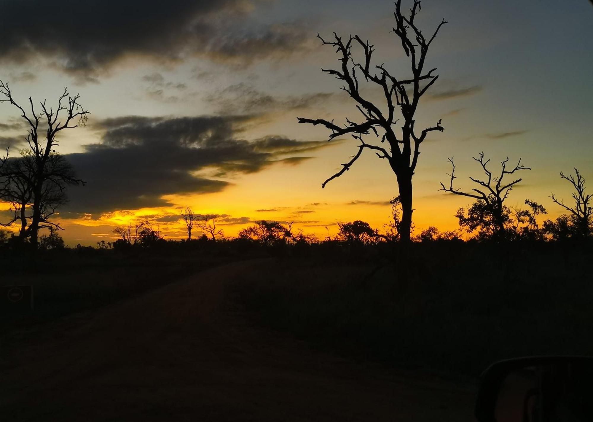 Mjejane Bush Camp By Dream Resorts Hectorspruit Buitenkant foto