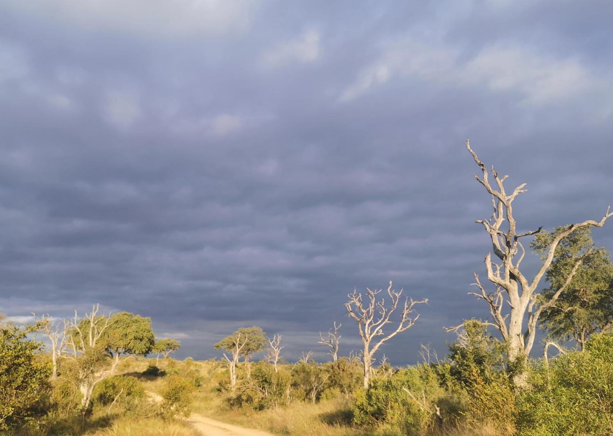 Mjejane Bush Camp By Dream Resorts Hectorspruit Buitenkant foto