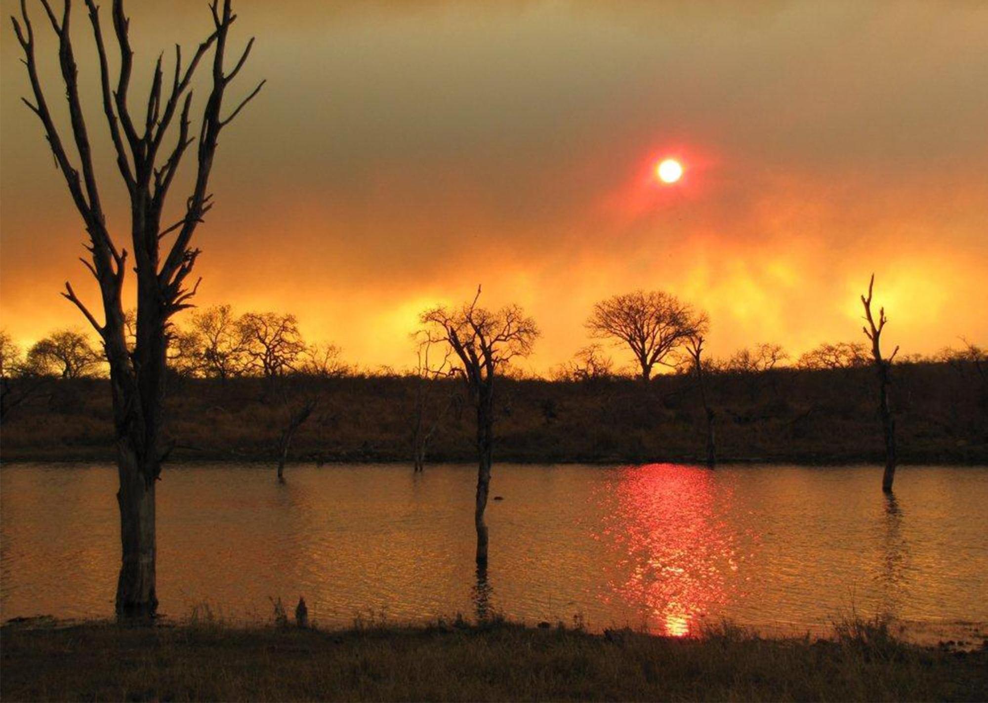 Mjejane Bush Camp By Dream Resorts Hectorspruit Buitenkant foto