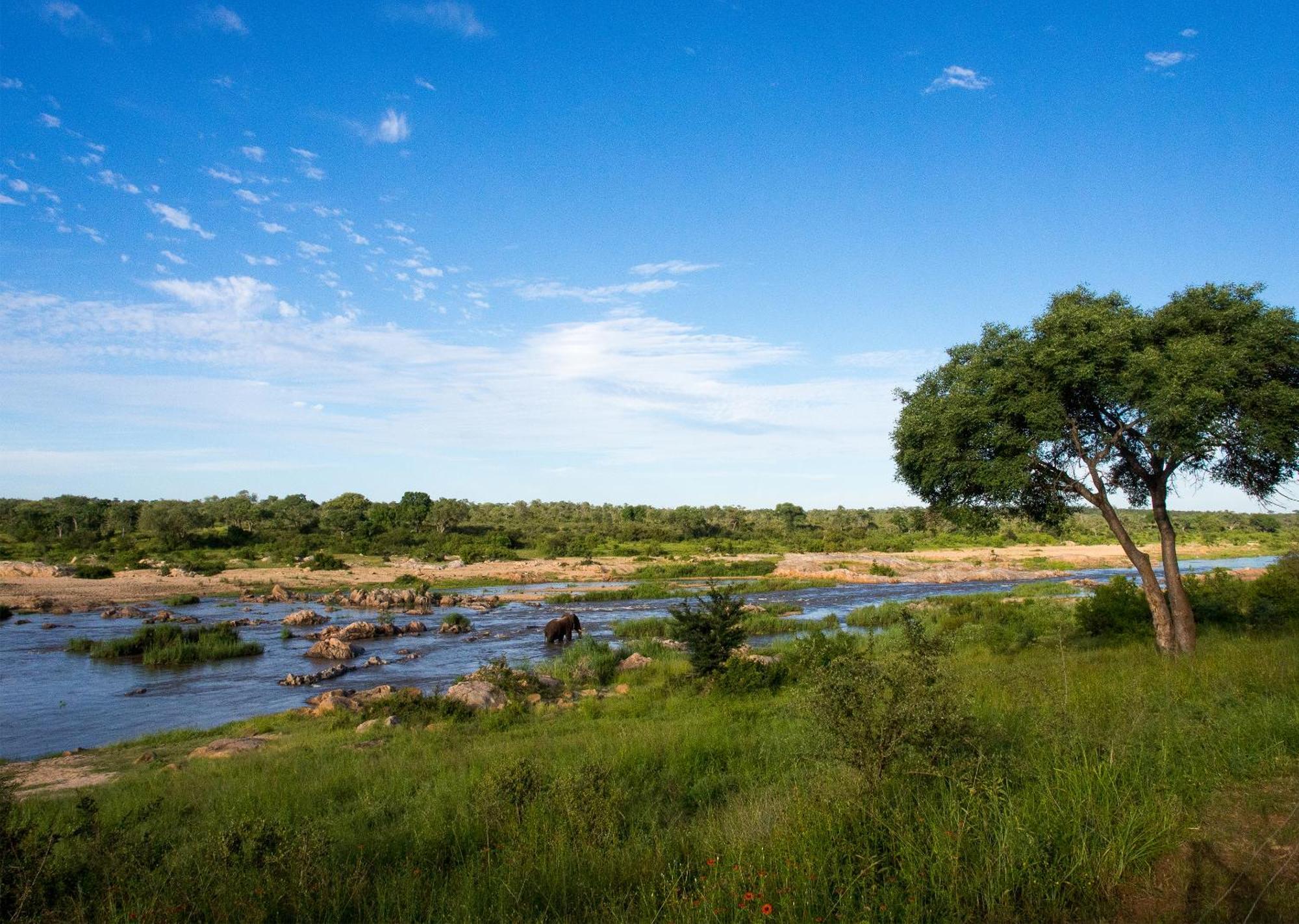 Mjejane Bush Camp By Dream Resorts Hectorspruit Buitenkant foto