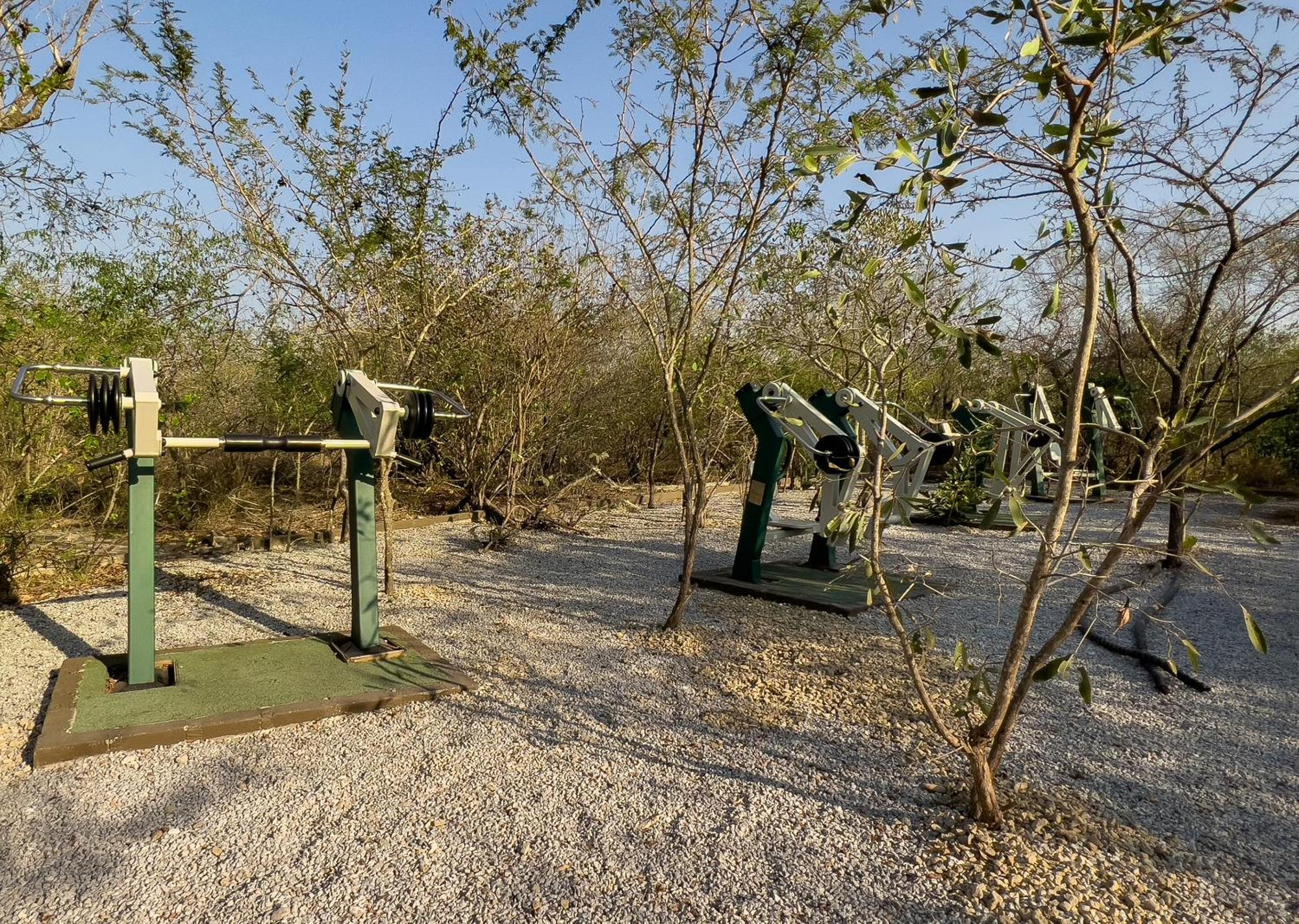 Mjejane Bush Camp By Dream Resorts Hectorspruit Buitenkant foto